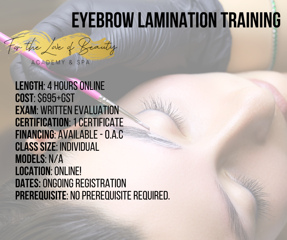 Eyebrow Lamination Certification - Online Only